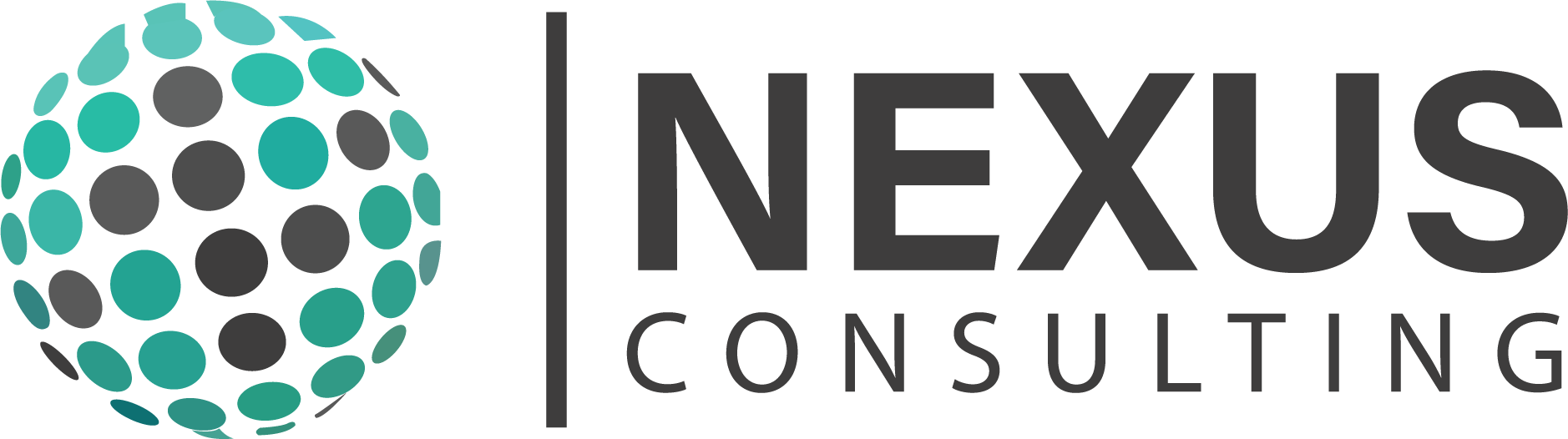 Nexus Consulting@2x